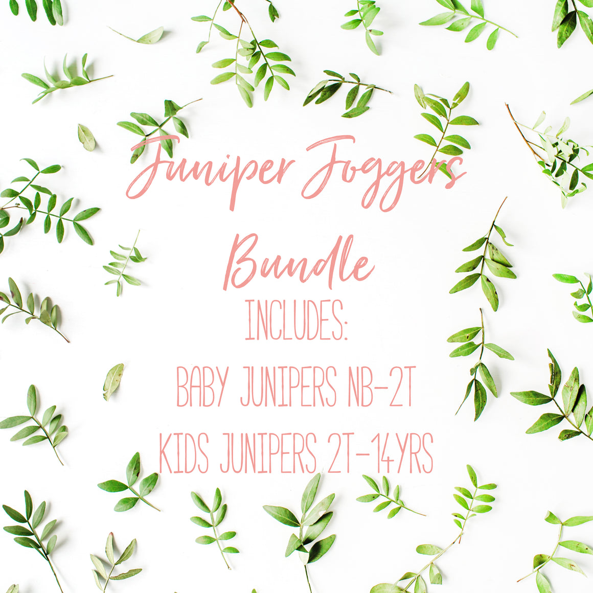 Juniper Joggers Bundle